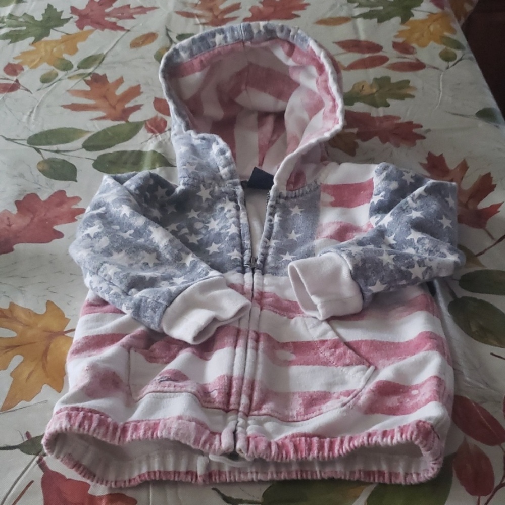 Adorable Ralph Lauren Flagg Hoodie